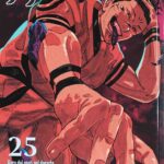 Jujutsu Kaisen vol. 25